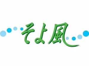 the first company image