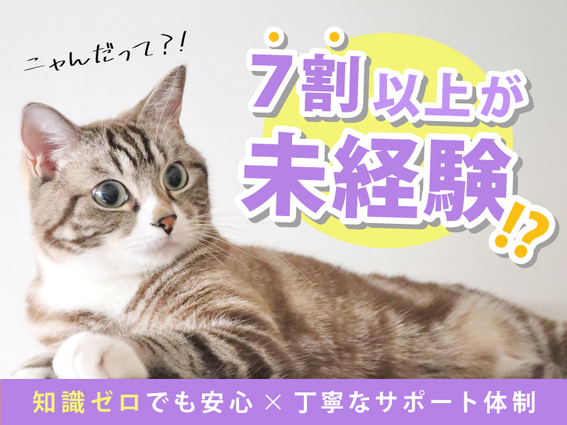 59bcd6dd 72f0 475f a205 2f8927a52e49