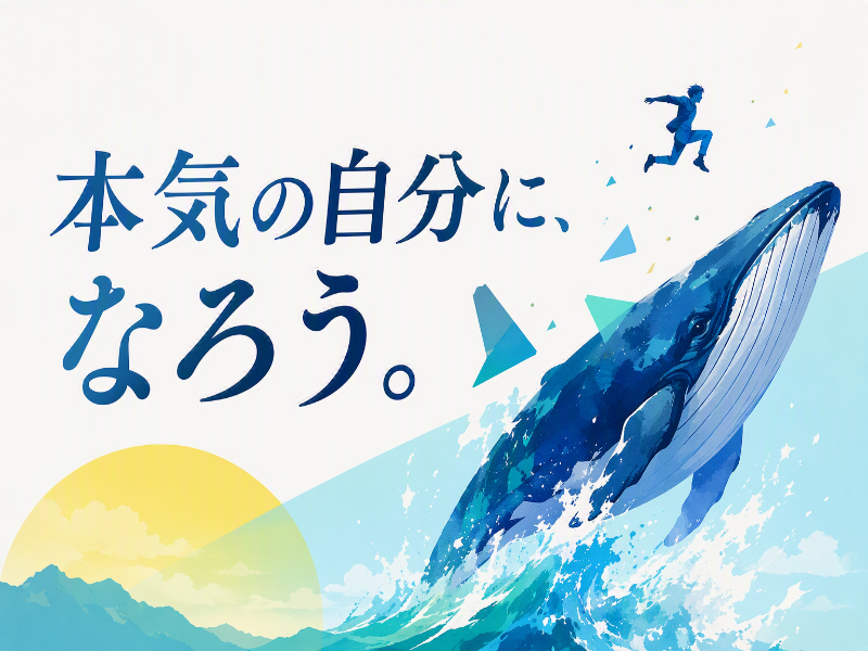 81ae375a ccbc 4dca a320 26c8e0d5f6a7