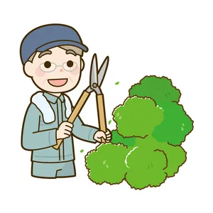 the first company image
