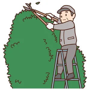 the first company image
