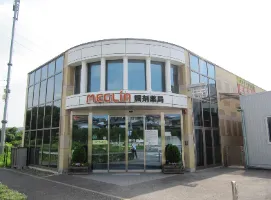 the first company image