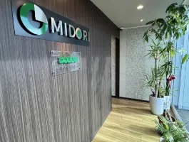 the first company image