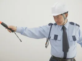 the first company image