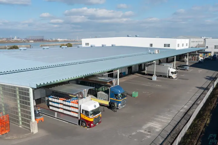 the first company image