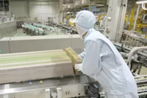 the first company image