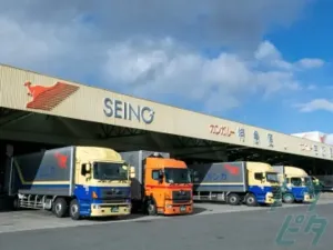 the first company image
