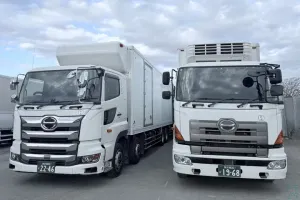 the first company image