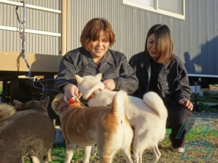 株式会社FBLトランスポート 豊橋営業所大清水駐車場(愛知県豊橋市/豊橋駅/配送・配達ドライバー)_4