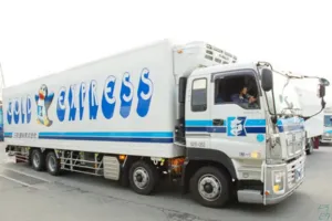 the first company image