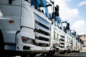 the first company image