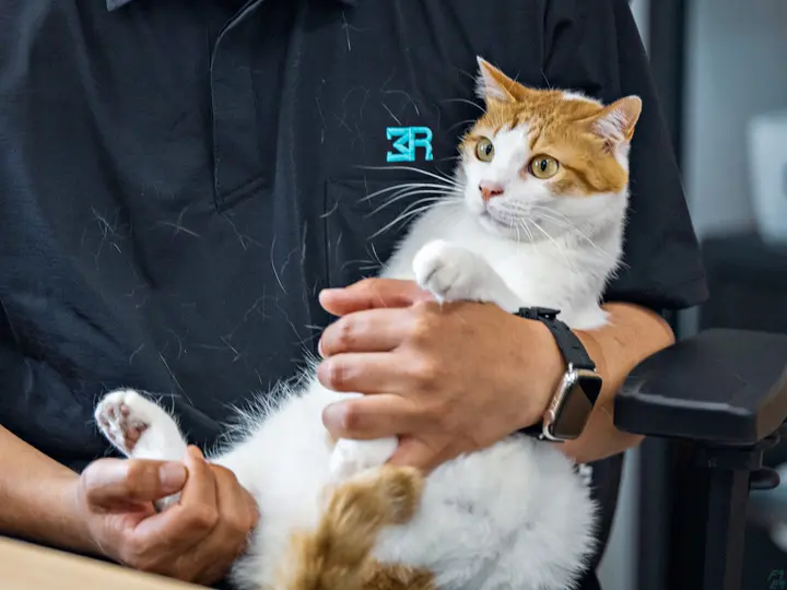 株式会社MR (愛知県名古屋市中川区/尾頭橋駅/配送・配達ドライバー)_3