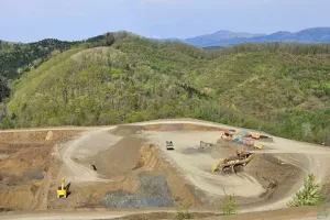 the first company image