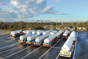 the first company image