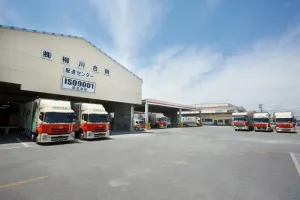 the first company image