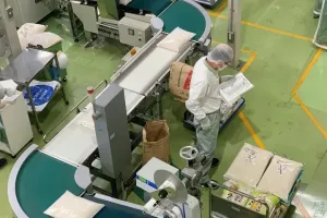 the first company image