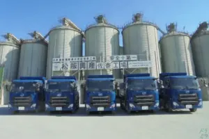 the first company image