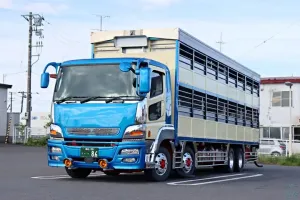 the first company image