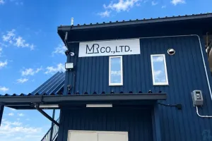 the first company image