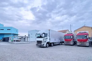 the first company image