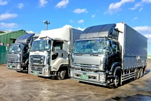 the first company image