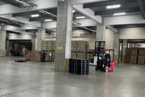 the first company image