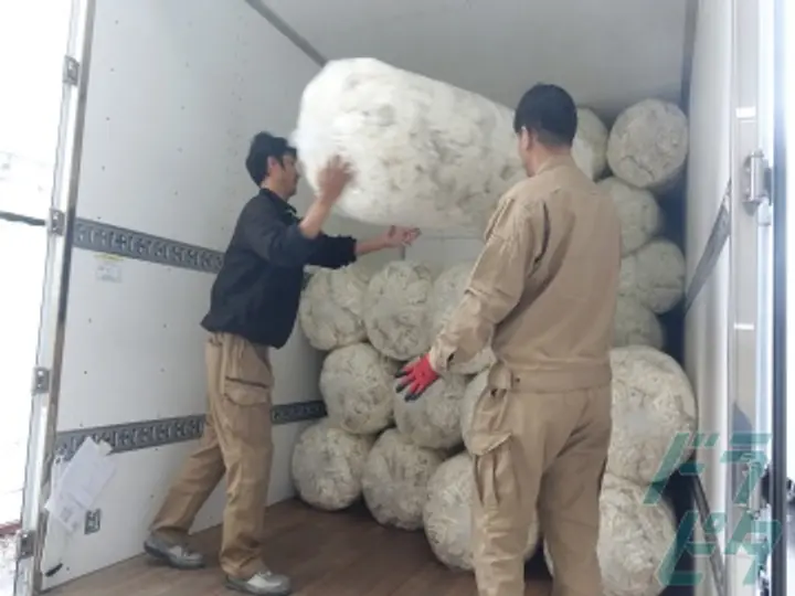 T.LINE株式会社 (埼玉県さいたま市岩槻区/岩槻駅/配送・配達ドライバー)_2