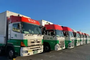 the first company image