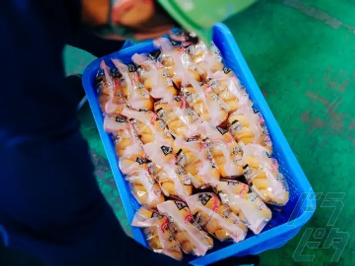 株式会社ライフプロモート (新潟県新潟市北区/新崎駅/配送・配達ドライバー)_2