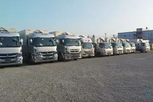 the first company image