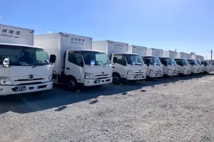 the first company image