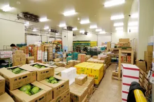 the first company image