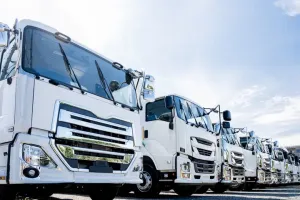 the first company image