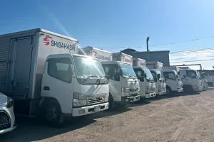 the first company image