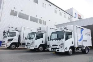 the first company image