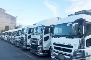 the first company image