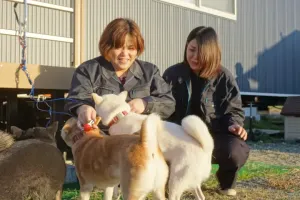 the first company image