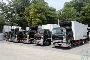 the first company image