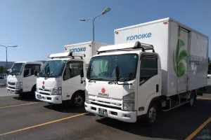 the first company image