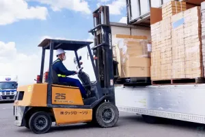 the first company image