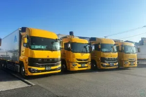 the first company image