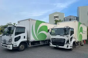 the first company image