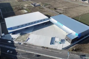 the first company image