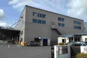 the first company image