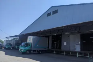 the first company image