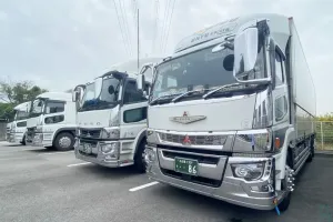 the first company image