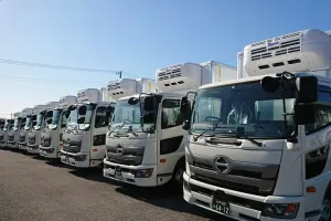 the first company image