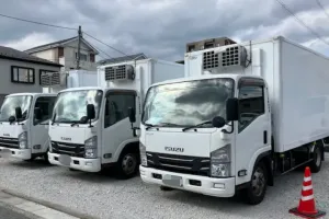 the first company image