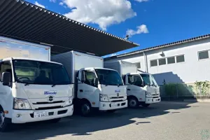 the first company image