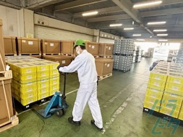 日本梱包運輸倉庫株式会社　中部事業部 浜松営業所(静岡県浜松市中央区/遠州病院駅/配送・配達ドライバー)_2